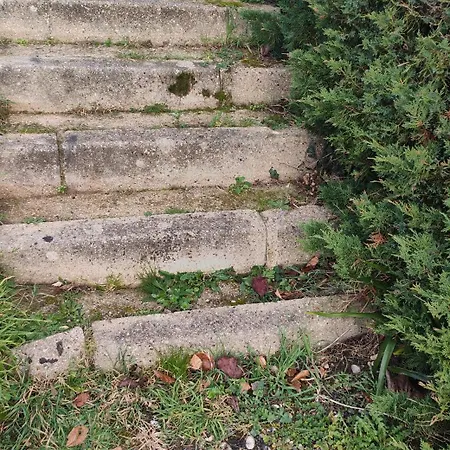 Le Cocon Normand De Jardin Et Son écrin De Verdure *
