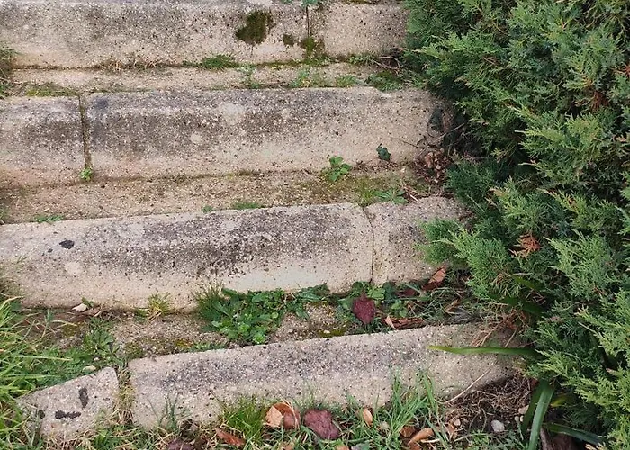Le Cocon Normand De Jardin Et Son Ecrin De Verdure *