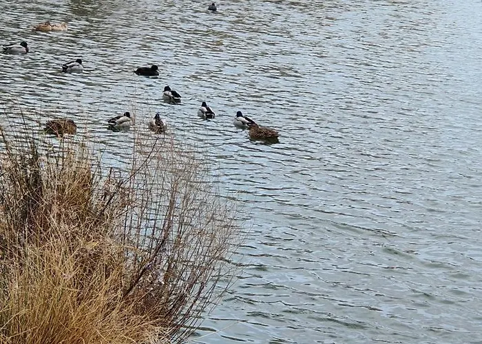 Chalet Le Cocon Normand De Jardin Et Son Ecrin De Verdure *